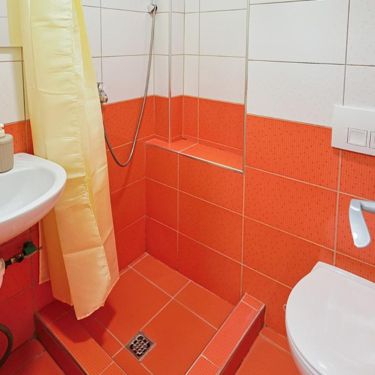Lala Apartment Old Town Sarajevo - Apartman sa 1 Spavaćom Sobom - 3