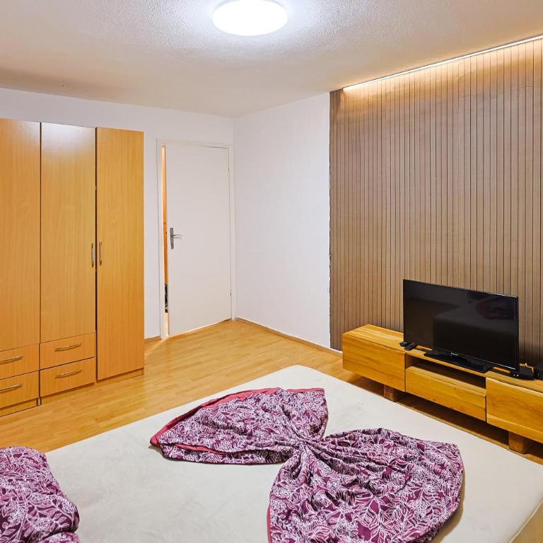 Lala Apartment Old Town Sarajevo - Apartman sa 1 Spavaćom Sobom - 9