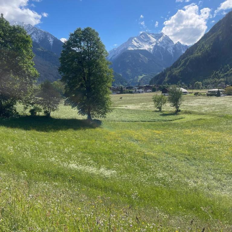 Gartenhäusl Schwendau - Casa Vacanze con 4 Camere da Letto - 35