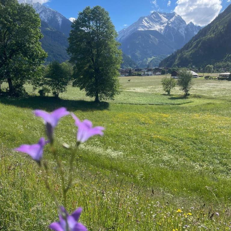 Gartenhäusl Schwendau - Casa Vacanze con 4 Camere da Letto - 36