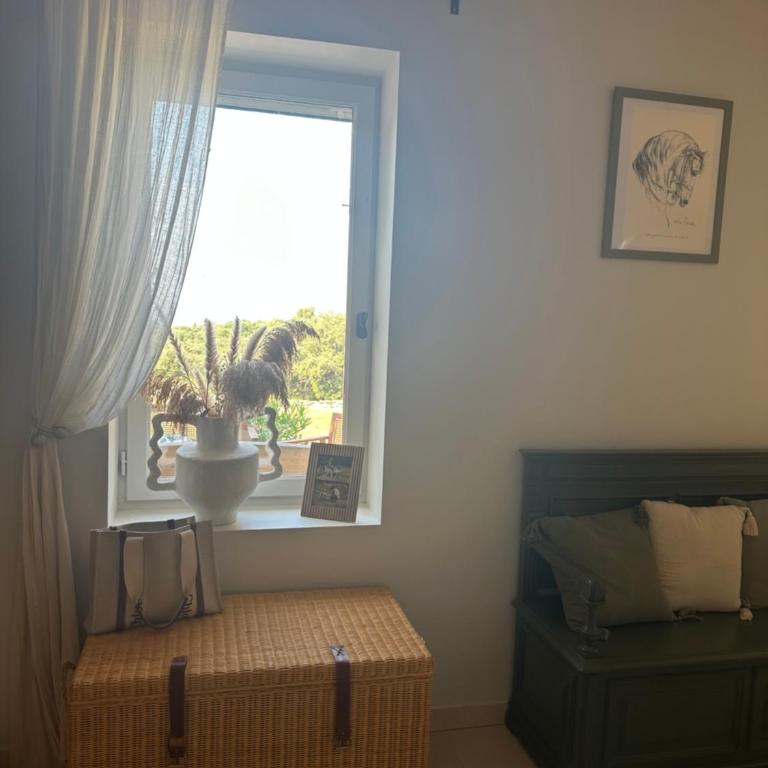 Bastide de la Chênaie, Gordes, Luberon view - Villa - 51