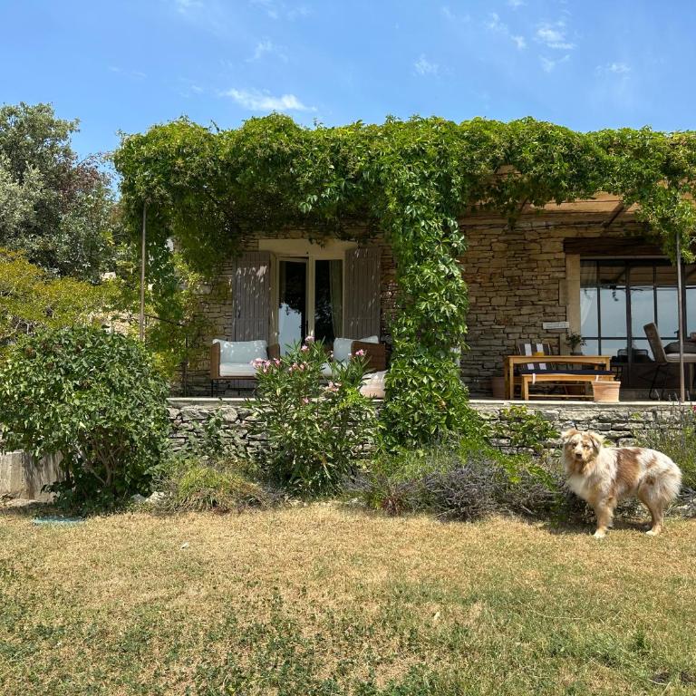 Bastide de la Chênaie, Gordes, Luberon view - Villa - 58