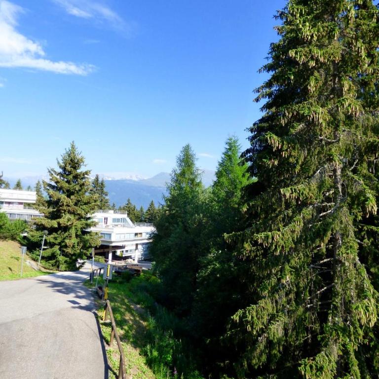 Suite apartment Marilleva 2 bedroom private parking - Appartamento con 2 Camere da Letto - 11