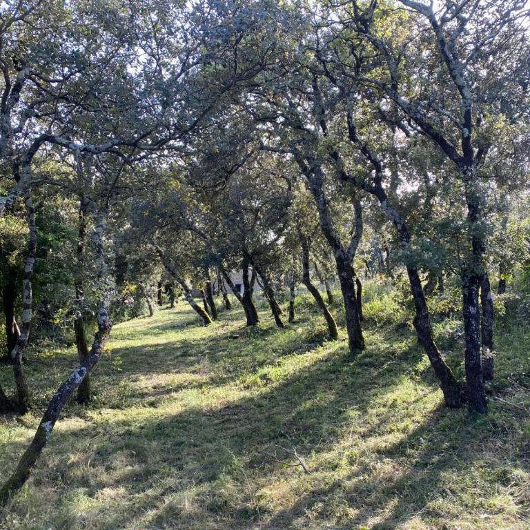 Bastide de la Chênaie, Gordes, Luberon view - Villa - 60