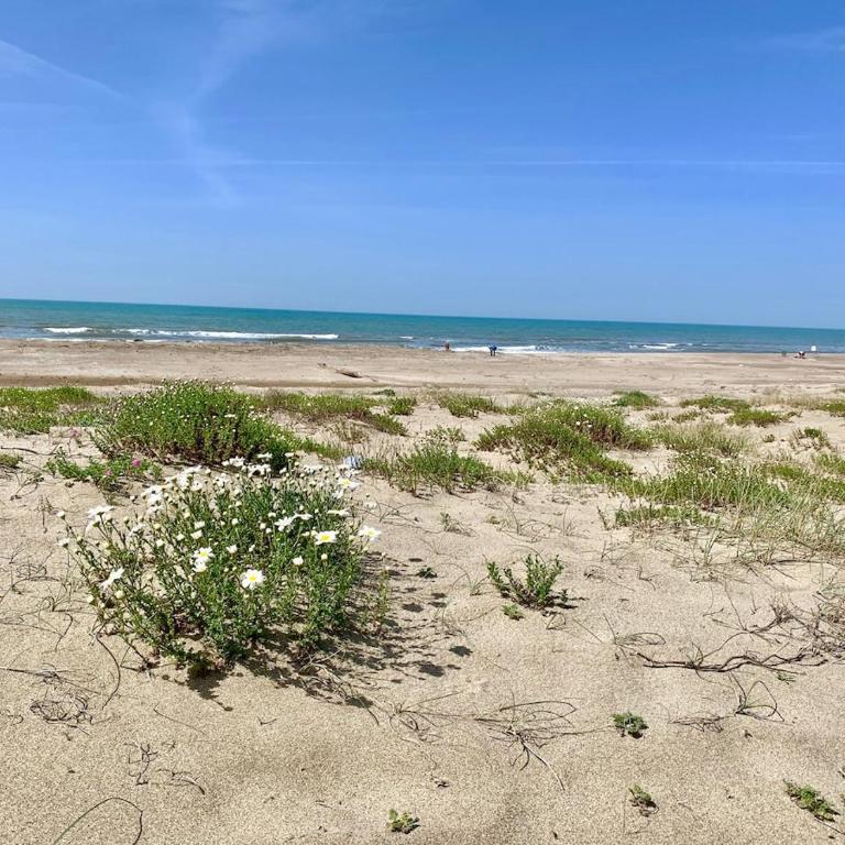 Rome Beach Home - Appartamento con 1 Camera da Letto - 41