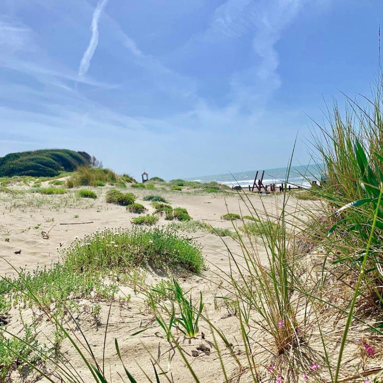 Rome Beach Home - Appartamento con 1 Camera da Letto - 42