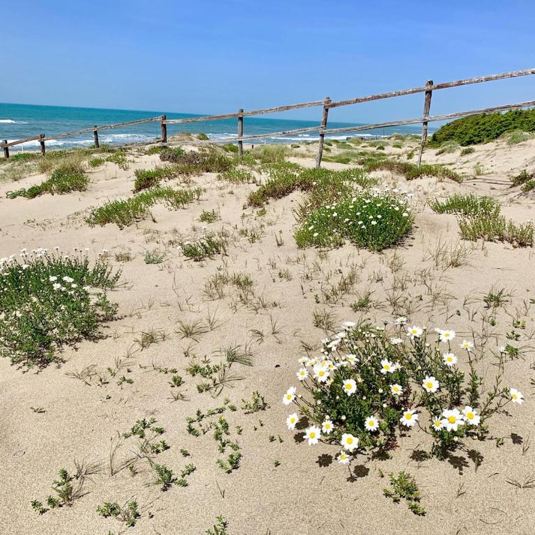 Rome Beach Home - Appartamento con 1 Camera da Letto - 40