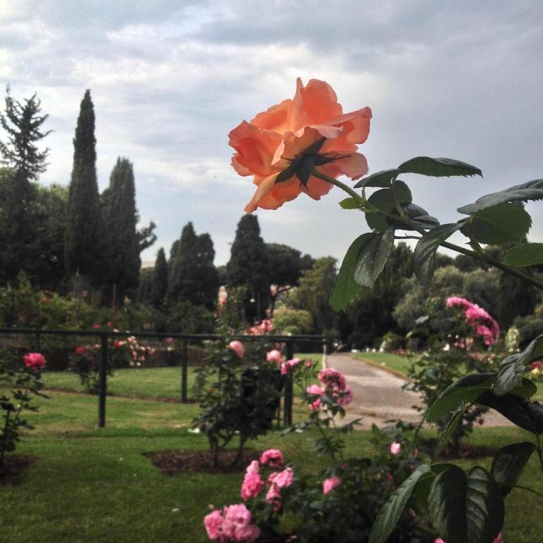 Rome Beach Home - Appartamento con 1 Camera da Letto - 48