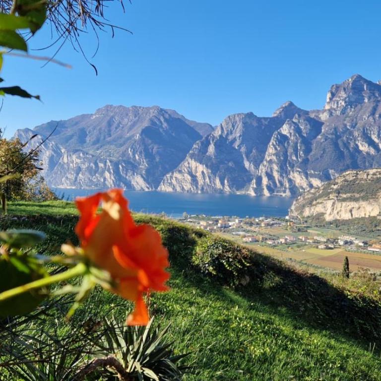 Appartamenti Nido d'Aquila - Garda Lake View - Apartment mit 1 Schlafzimmer und Seeblick - 14