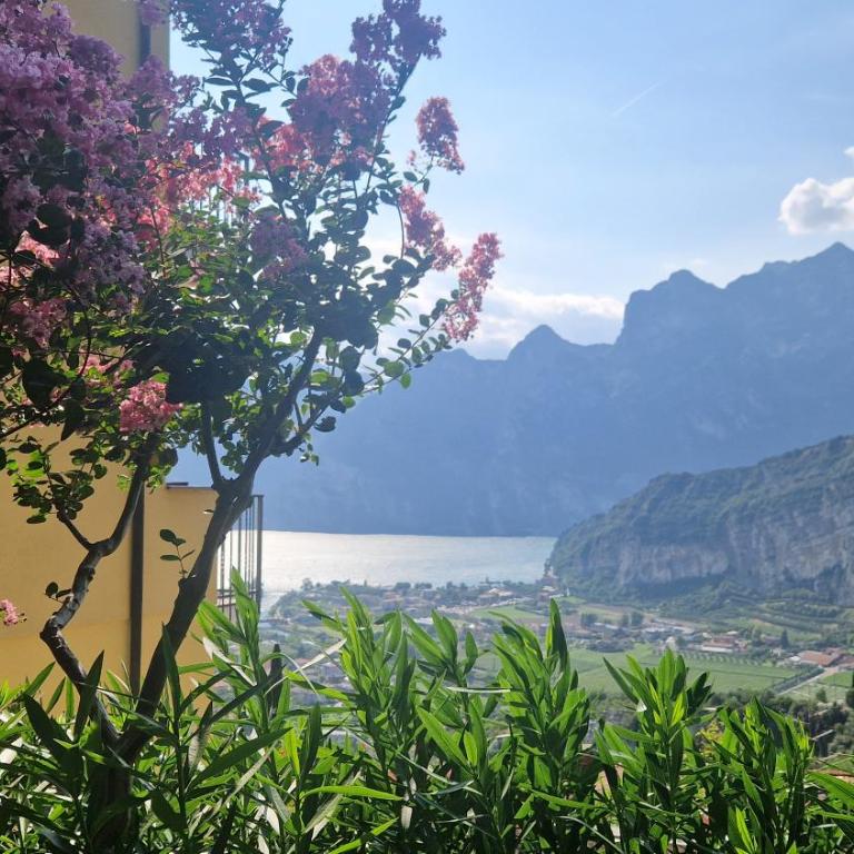 Appartamenti Nido d'Aquila - Garda Lake View - Apartment mit 1 Schlafzimmer und Seeblick - 13