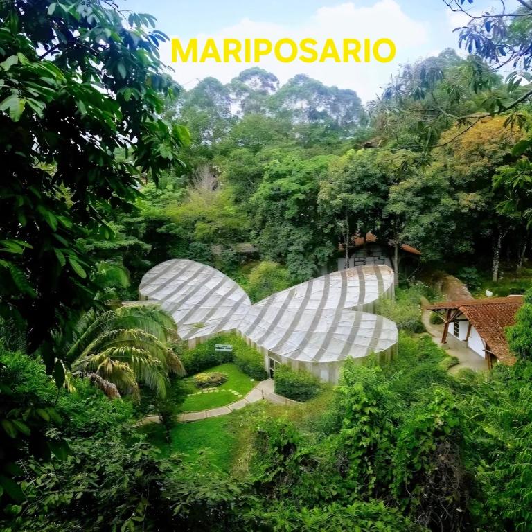 Paraiso del Cafe - Two-Bedroom Apartment - 20