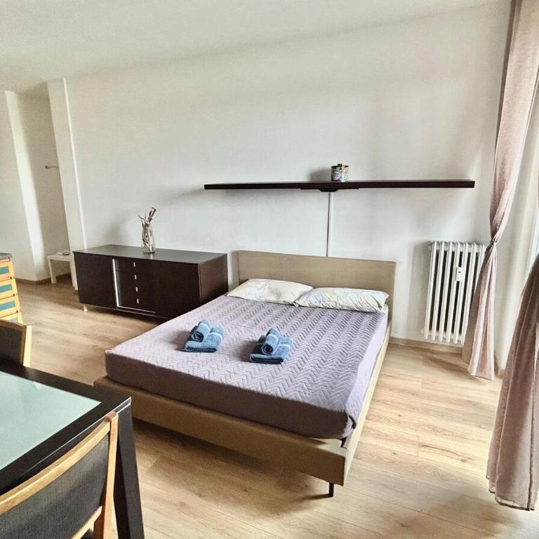 MIND Milano - Rho Fiera - Ospedale Galeazzi - One-Bedroom Apartment - 9