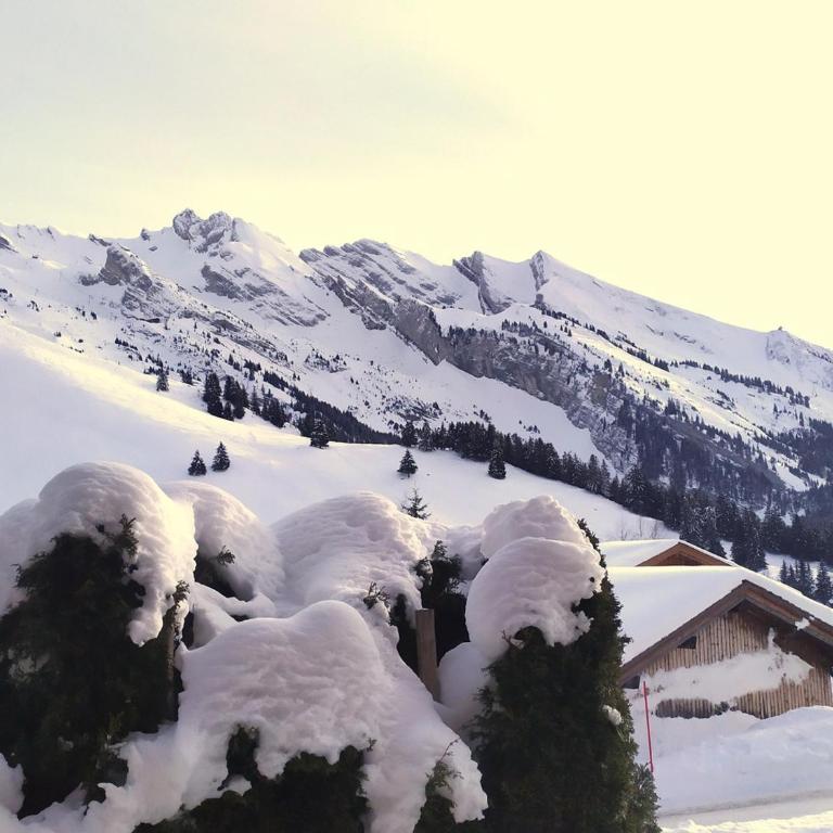 Rez-de-chalet avec terrasse plein Sud, sur les pistes de ski de fond – 6 pers, La Clusaz - FR-1-437-29 - Appartement (6 Adultes) - 20