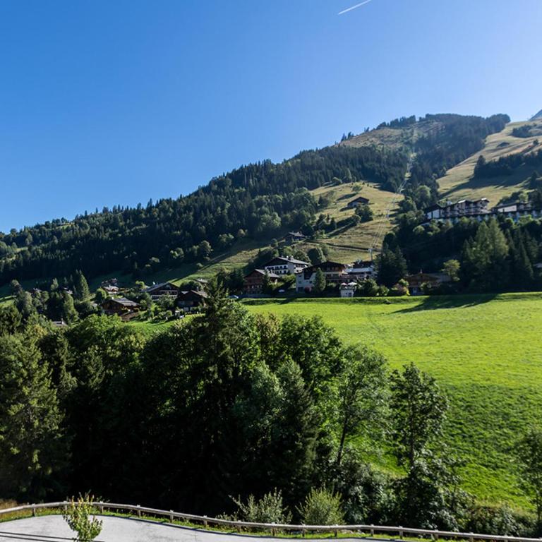 Chalet 12 pers - Sauna - Terrasse - Wifi - FR-1-437-9 - Chalet (12 Adultes) - 15