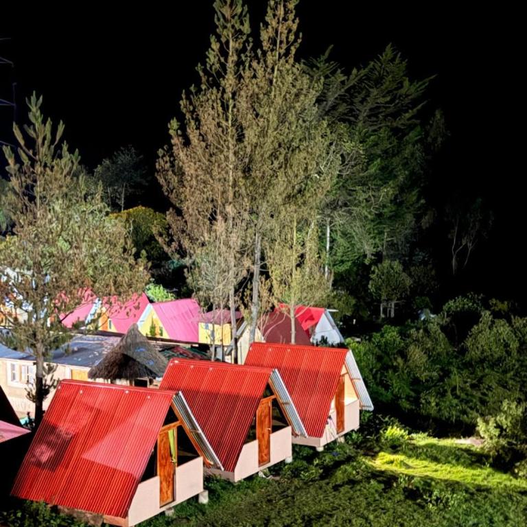 Salkantay Glamp - Twin Room - 45