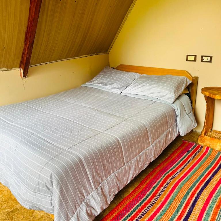 Salkantay Glamp - Twin Room - 42