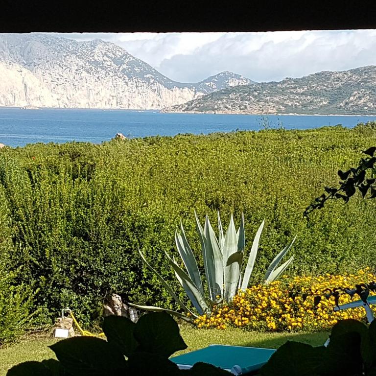 Le Ville Stefania Calaparadiso 150m dal mare - Casa con 3 Camere da Letto - 2