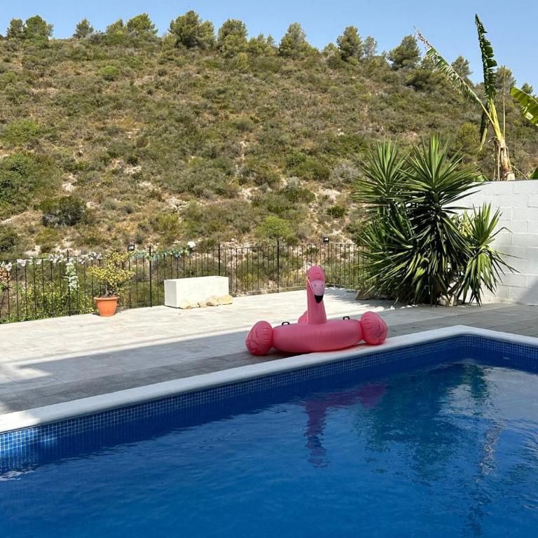 Estudio nuevo zen - Apartamento de 1 dormitorio - 38
