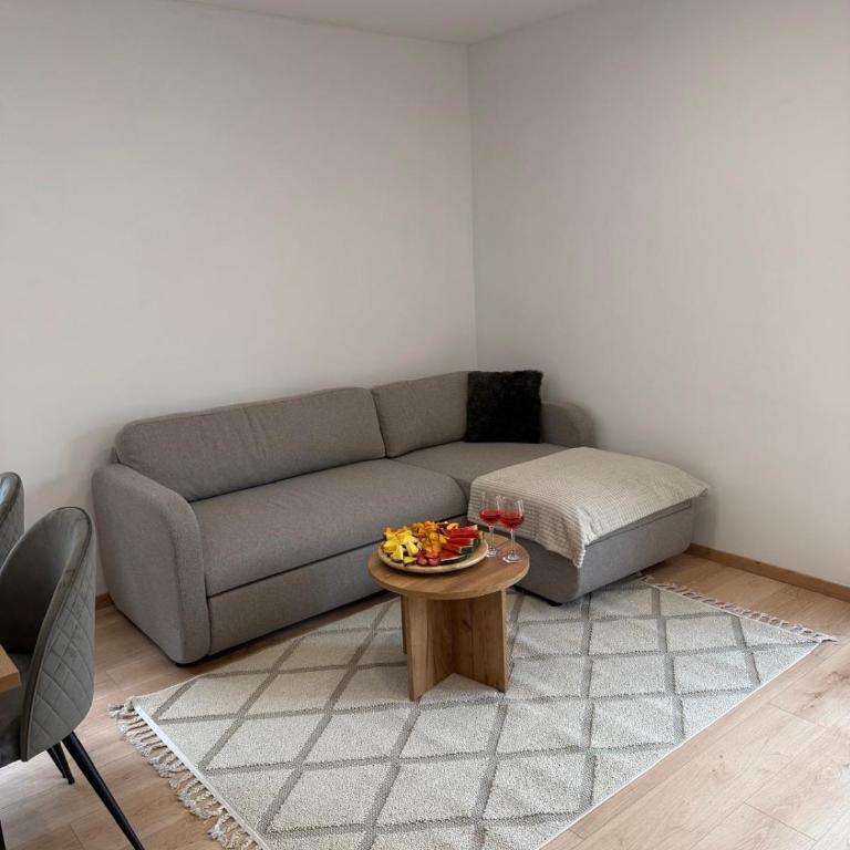 Harmony Residence Mostar - Apartman sa 2 Spavaće Sobe - 10