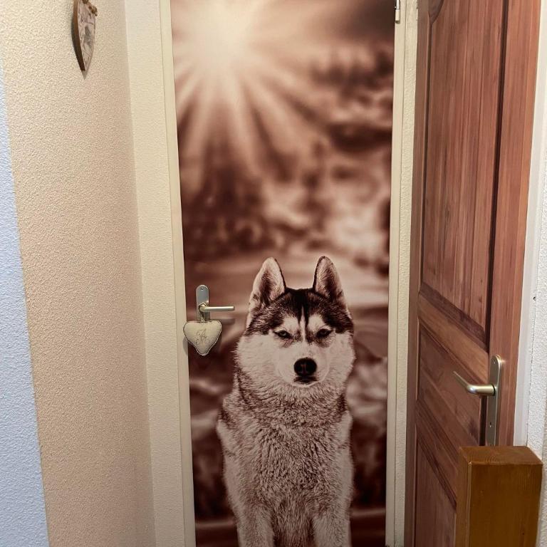 crocblanc - Appartement 2 Chambres - 7