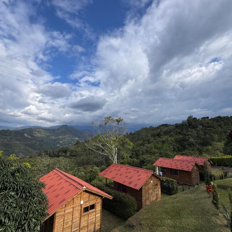 Finca Villa Julia - Cabañas - Habitación Doble con vistas a la montaña - 17