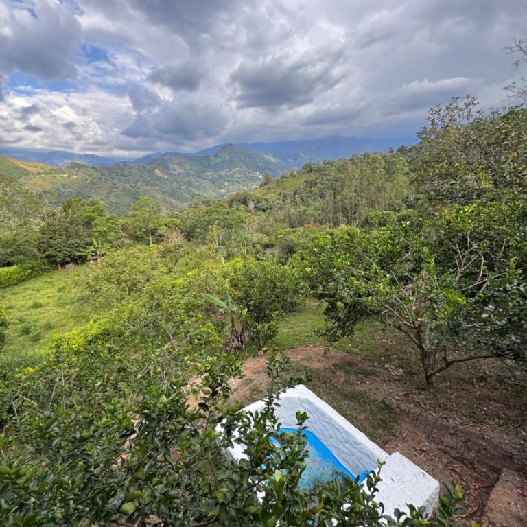 Finca Villa Julia - Cabañas - Habitación Doble con vistas a la montaña - 18