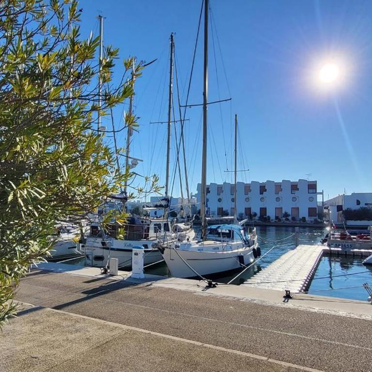 Terrasse quai du port de plaisance - Appartamento - 25
