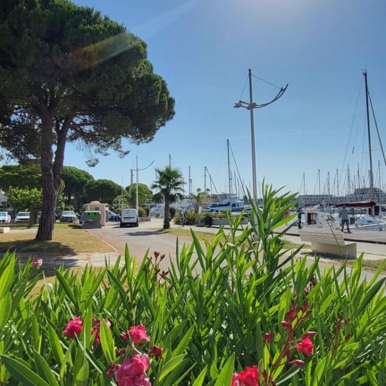 Terrasse quai du port de plaisance - Appartamento - 37