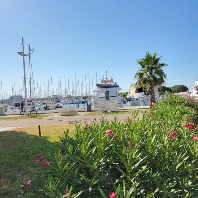 Terrasse quai du port de plaisance - Appartamento - 35