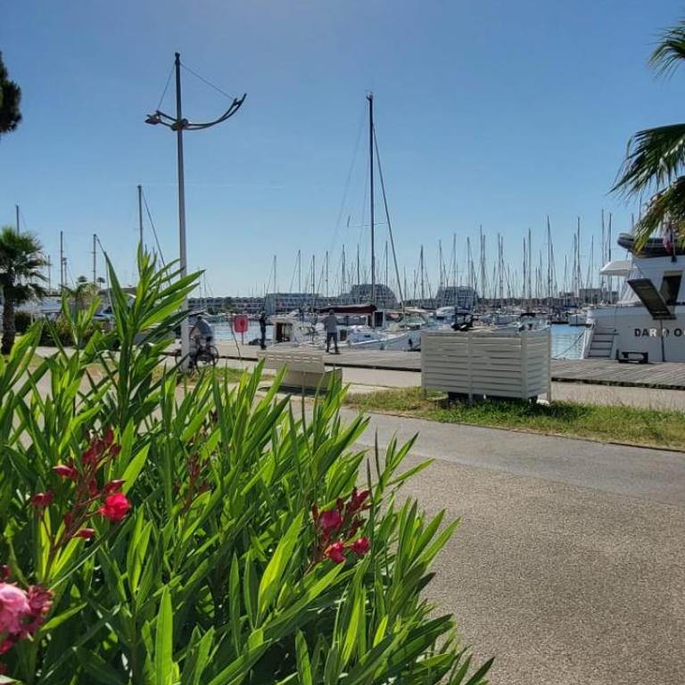 Terrasse quai du port de plaisance - Appartamento - 36