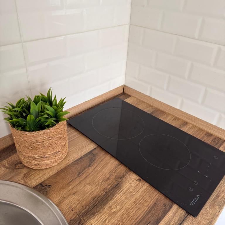 Apartmani Tesla - Apartman sa Pogledom na Planinu - 9