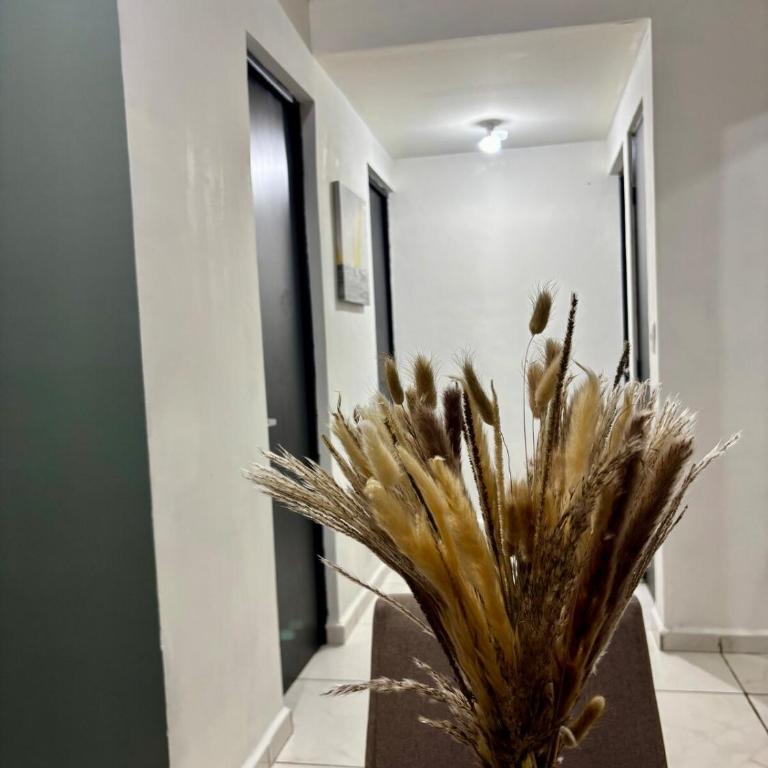 Depa en Planta Baja, Hacienda Los Morales, San Nicolas - Apartamento de 2 dormitorios - 5