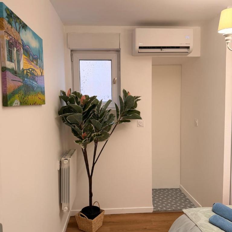 Appartement Mattia centre-ville - Appartement 1 Chambre - 4