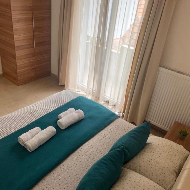 Apartmani Tesla - Apartman sa Pogledom na Planinu - 6