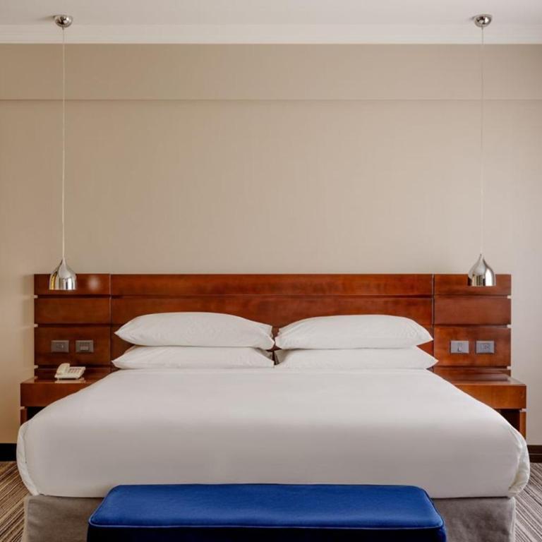 Marriott Hotel Buenos Aires Ezeiza Airport - Suite con cama extragrande - 4