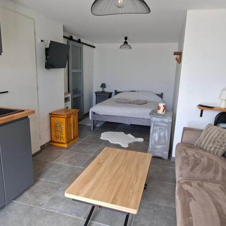 Studio cosy tout équipé, vue magnifique - Appartement 1 Chambre - 1
