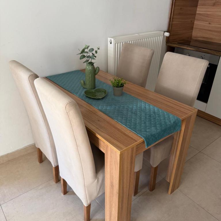 Apartmani Tesla - Apartman - Prizemlje - 2