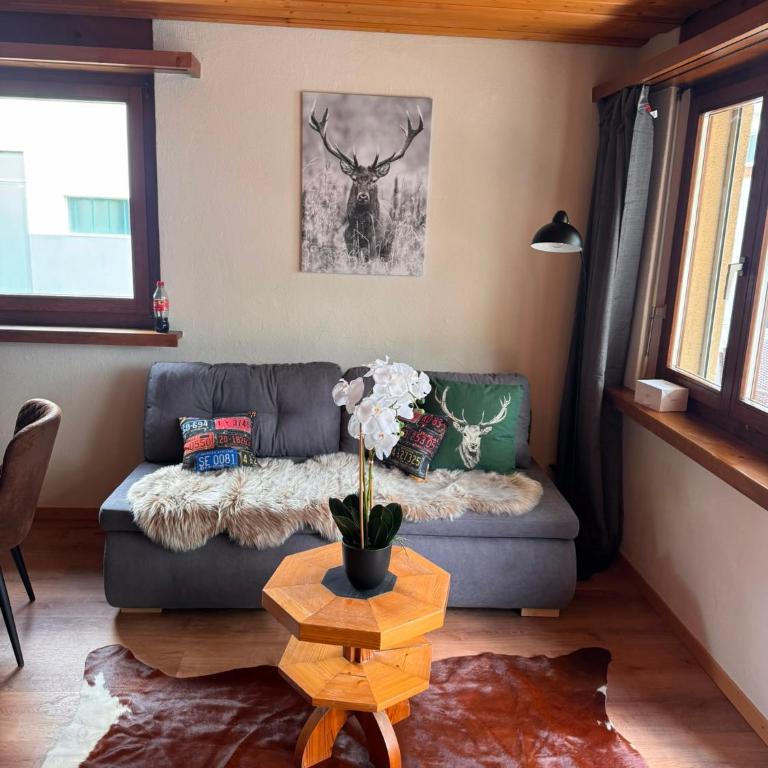 FeWo's und Apartment's Casa Martina - Studio - 8
