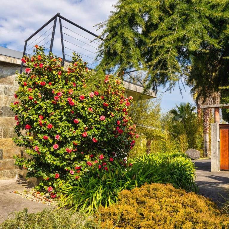 Escapada Villa con piscina y jardin - Casa - 16