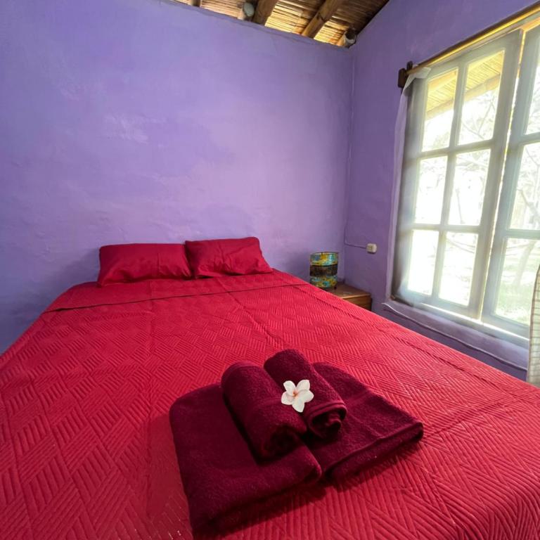 Taroland - One-Bedroom Apartment - 6