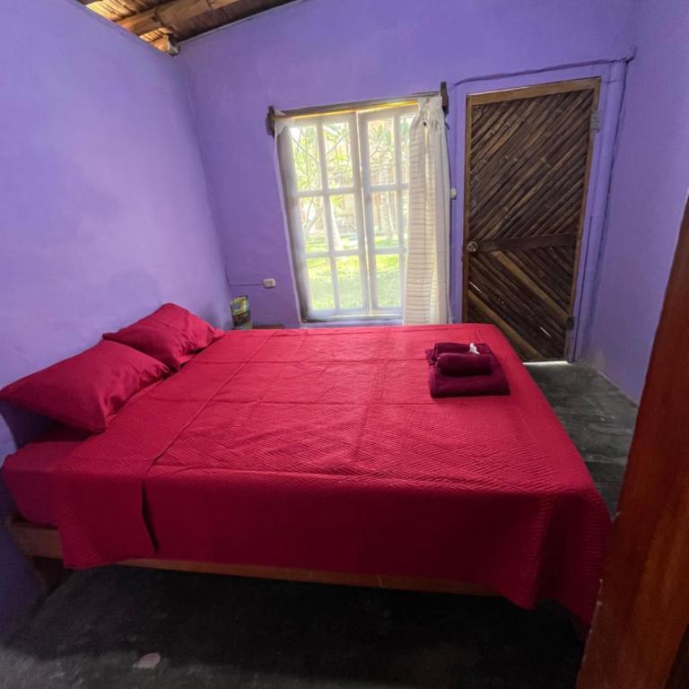 Taroland - One-Bedroom Apartment - 1