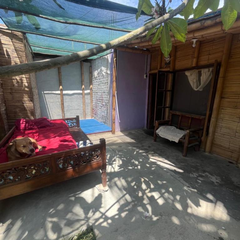 Taroland - One-Bedroom Apartment - 11