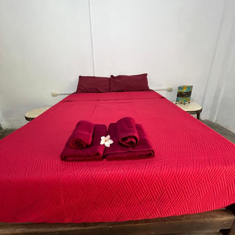 Taroland - One-Bedroom Apartment - 12