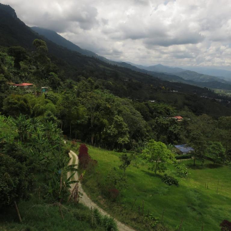 Andes Ecolodge - Chalet - 6