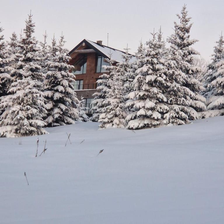 NOOK Kopaonik Luxury Apart & House - Villa Deluxe - 6