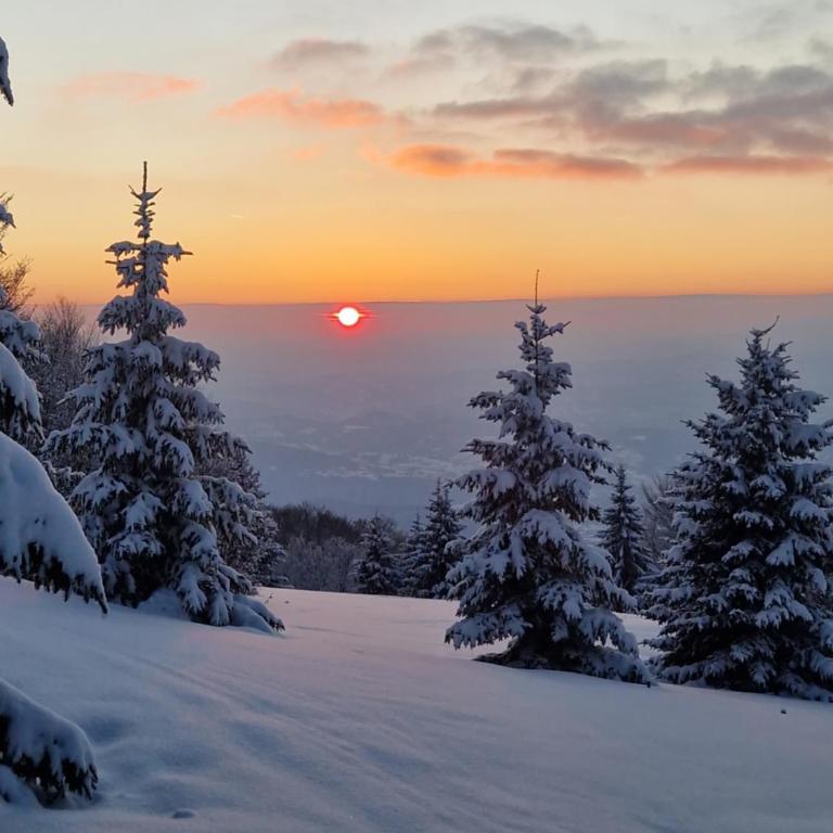 NOOK Kopaonik Luxury Apart & House - Villa Deluxe - 7