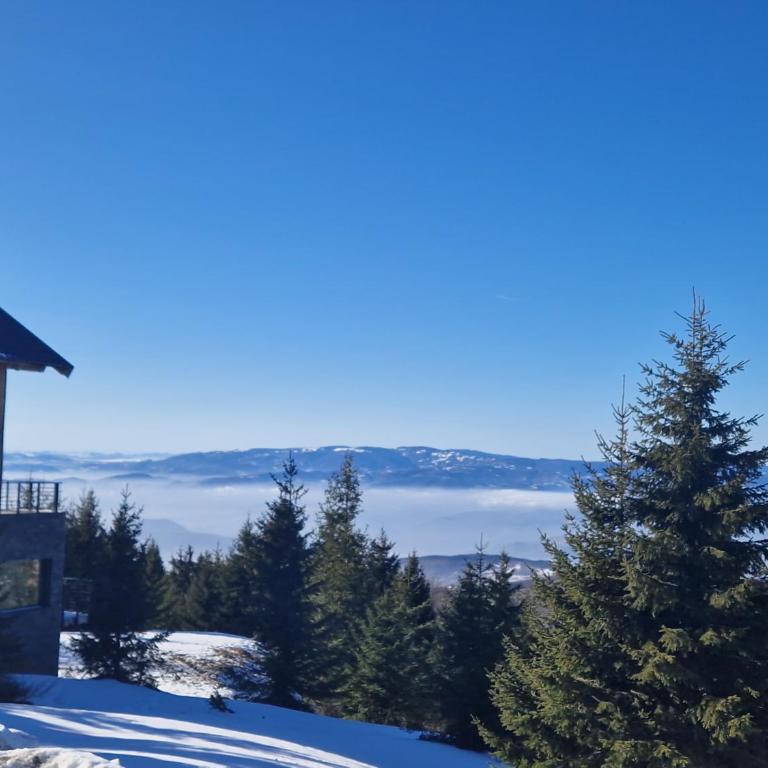 NOOK Kopaonik Luxury Apart & House - Villa Deluxe - 9