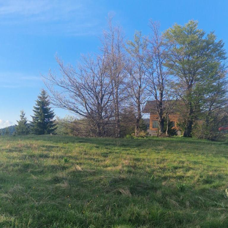 NOOK Kopaonik Luxury Apart & House - Villa Deluxe - 12