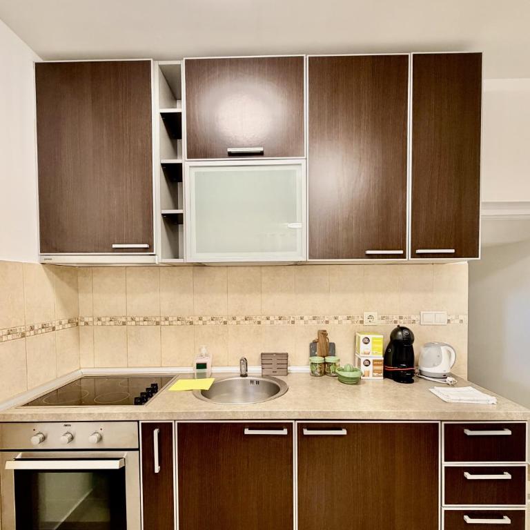 Apartments Yana - Apartman s 1 Spavaćom Sobom i Balkonom - 11