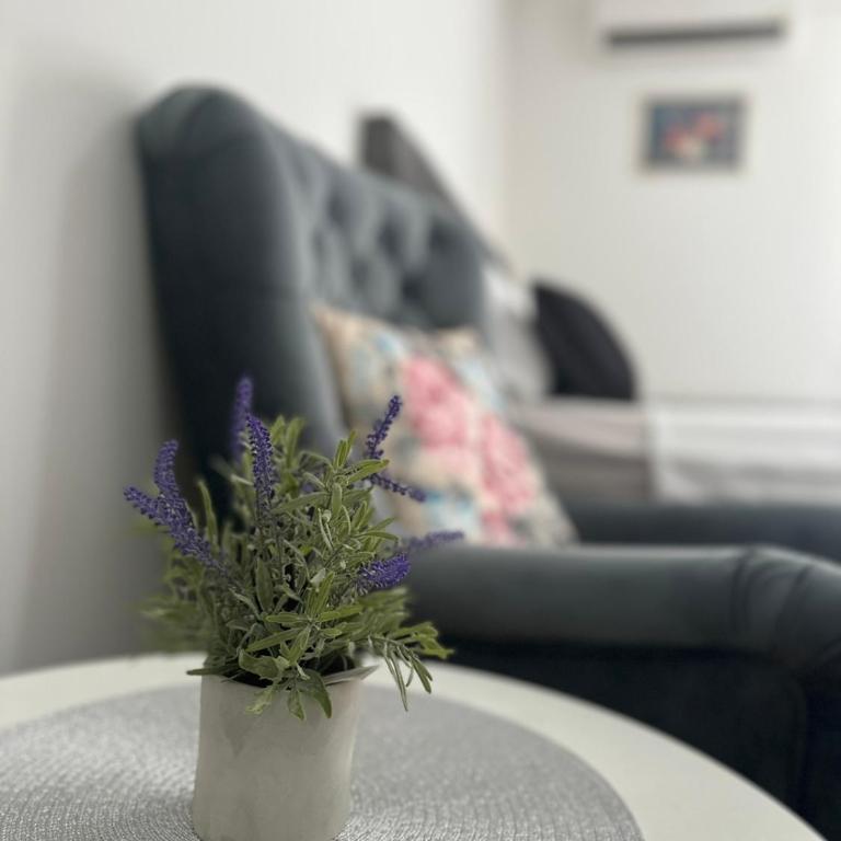 Apartments Nova Otoka Sarajevo 2 - Apartman sa 1 Spavaćom Sobom - 7